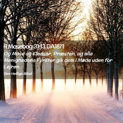 Picture 02 - 4 Mosebog 31:13 DA1871 - Og Mose og Eleasar, Præsten, og alle Menighedens - Bible Verse Picture