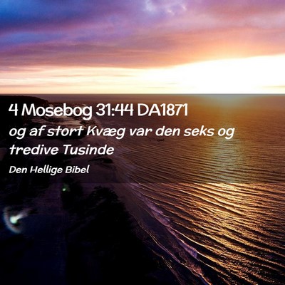 Picture 02 - 4 Mosebog 31:44 DA1871 - og af stort Kvæg var den seks og tredive - Bible Verse Picture