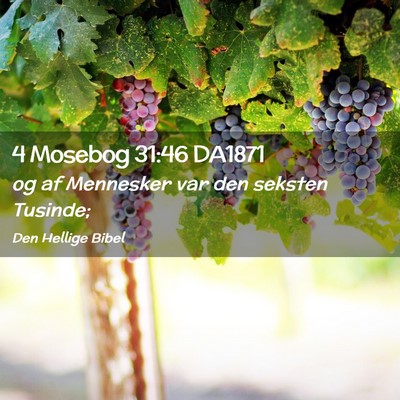 Picture 02 - 4 Mosebog 31:46 DA1871 - og af Mennesker var den seksten - Bible Verse Picture