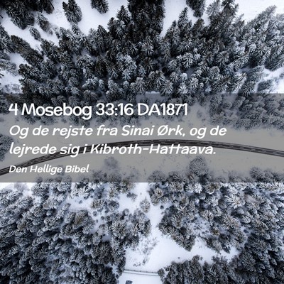 Picture 02 - 4 Mosebog 33:16 DA1871 - Og de rejste fra Sinai Ørk, og de lejrede sig i - Bible Verse Picture
