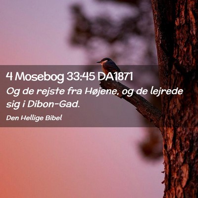 Picture 02 - 4 Mosebog 33:45 DA1871 - Og de rejste fra Højene, og de lejrede sig i - Bible Verse Picture