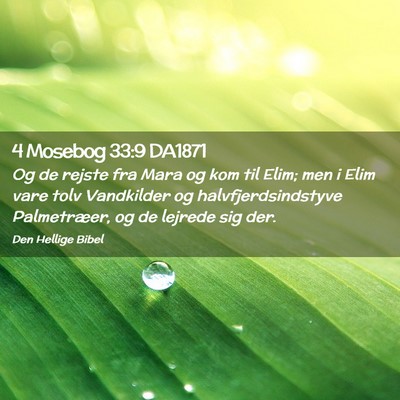 Picture 02 - 4 Mosebog 33:9 DA1871 - Og de rejste fra Mara og kom til Elim; men i Elim - Bible Verse Picture