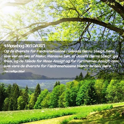 Picture 02 - 4 Mosebog 36:1 DA1871 - Og de Øverste for Fædrenehusene i Gileads - Bible Verse Picture