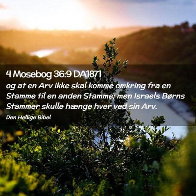Picture 02 - 4 Mosebog 36:9 DA1871 - og at en Arv ikke skal komme omkring fra en - Bible Verse Picture