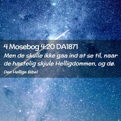 Picture 02 - 4 Mosebog 4:20 DA1871 - Men de skulle ikke gaa ind at se til, naar de - Bible Verse Picture