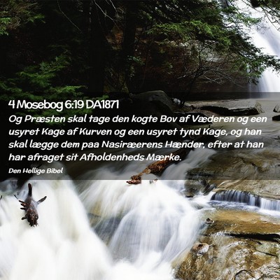 Picture 02 - 4 Mosebog 6:19 DA1871 - Og Præsten skal tage den kogte Bov af Væderen - Bible Verse Picture