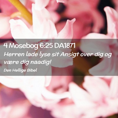 Picture 02 - 4 Mosebog 6:25 DA1871 - Herren lade lyse sit Ansigt over dig og være dig - Bible Verse Picture