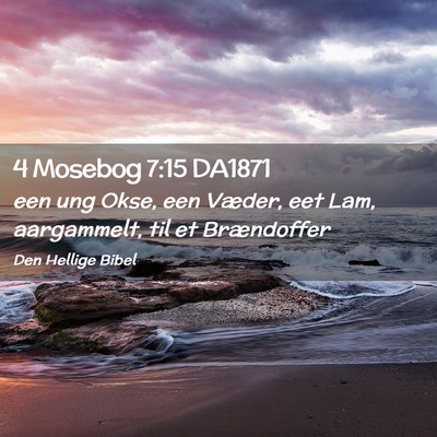 Picture 02 - 4 Mosebog 7:15 DA1871 - een ung Okse, een Væder, eet Lam, aargammelt, - Bible Verse Picture