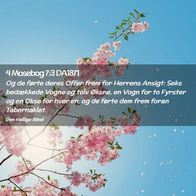 Picture 02 - 4 Mosebog 7:3 DA1871 - Og de førte deres Offer frem for Herrens Ansigt: - Bible Verse Picture