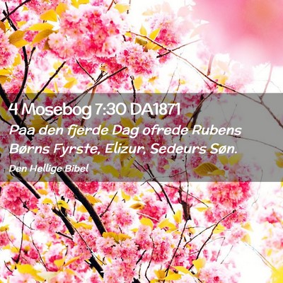 Picture 02 - 4 Mosebog 7:30 DA1871 - Paa den fjerde Dag ofrede Rubens Børns Fyrste, - Bible Verse Picture