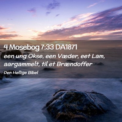 Picture 02 - 4 Mosebog 7:33 DA1871 - een ung Okse, een Væder, eet Lam, aargammelt, - Bible Verse Picture