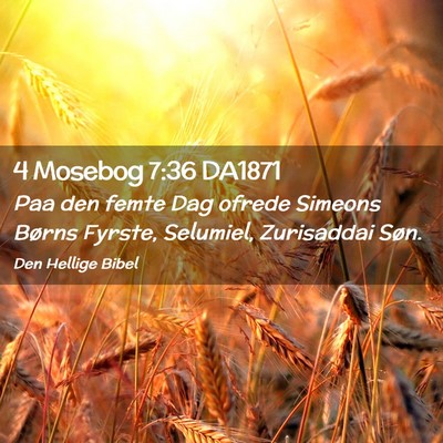 Picture 02 - 4 Mosebog 7:36 DA1871 - Paa den femte Dag ofrede Simeons Børns Fyrste, - Bible Verse Picture