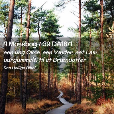 Picture 02 - 4 Mosebog 7:39 DA1871 - een ung Okse, een Væder, eet Lam, aargammelt, - Bible Verse Picture
