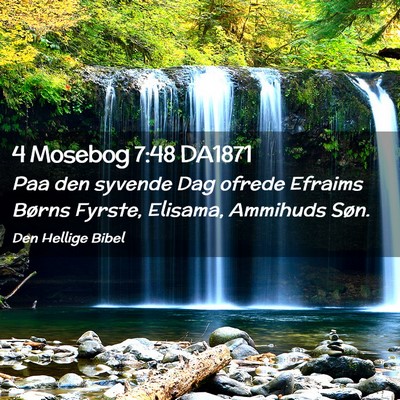 Picture 02 - 4 Mosebog 7:48 DA1871 - Paa den syvende Dag ofrede Efraims Børns Fyrste, - Bible Verse Picture