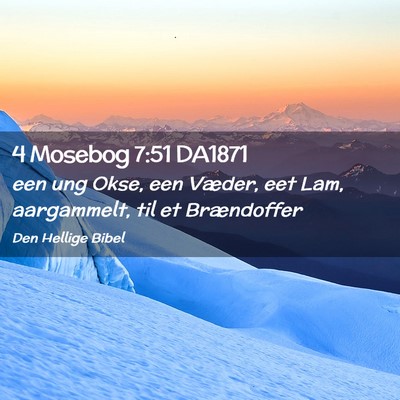 Picture 02 - 4 Mosebog 7:51 DA1871 - een ung Okse, een Væder, eet Lam, aargammelt, - Bible Verse Picture