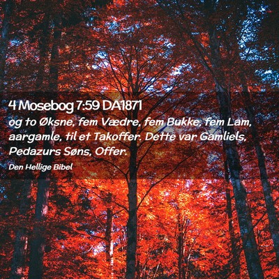 Picture 02 - 4 Mosebog 7:59 DA1871 - og to Øksne, fem Vædre, fem Bukke, fem Lam, - Bible Verse Picture