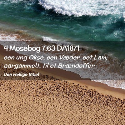 Picture 02 - 4 Mosebog 7:63 DA1871 - een ung Okse, een Væder, eet Lam, aargammelt, - Bible Verse Picture
