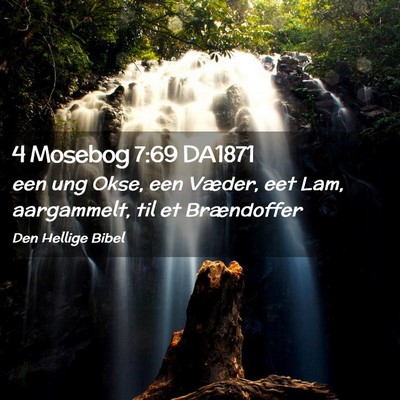 Picture 02 - 4 Mosebog 7:69 DA1871 - een ung Okse, een Væder, eet Lam, aargammelt, - Bible Verse Picture