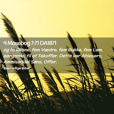 Picture 02 - 4 Mosebog 7:71 DA1871 - og to Øksne, fem Vædre, fem Bukke, fem Lam, - Bible Verse Picture