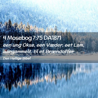 Picture 02 - 4 Mosebog 7:75 DA1871 - een ung Okse, een Væder, eet Lam, aargammelt, - Bible Verse Picture
