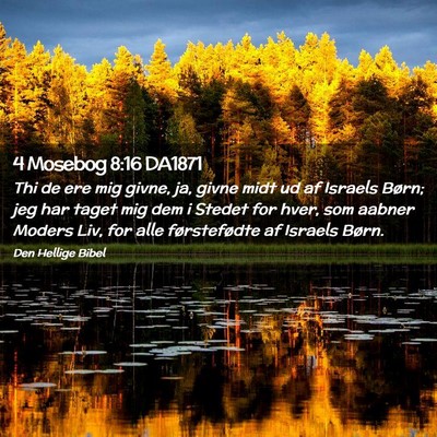 Picture 02 - 4 Mosebog 8:16 DA1871 - Thi de ere mig givne, ja, givne midt ud af - Bible Verse Picture