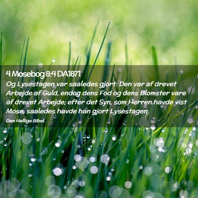 Picture 02 - 4 Mosebog 8:4 DA1871 - Og Lysestagen var saaledes gjort: Den var af - Bible Verse Picture