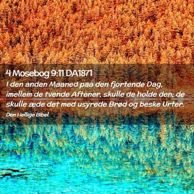 Picture 02 - 4 Mosebog 9:11 DA1871 - I den anden Maaned paa den fjortende Dag, imellem - Bible Verse Picture