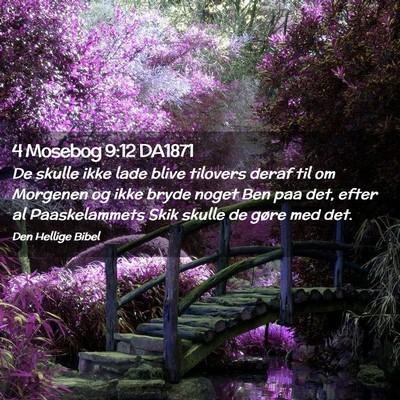 Picture 02 - 4 Mosebog 9:12 DA1871 - De skulle ikke lade blive tilovers deraf til om - Bible Verse Picture