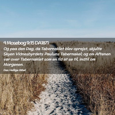 Picture 02 - 4 Mosebog 9:15 DA1871 - Og paa den Dag, da Tabernaklet blev oprejst, - Bible Verse Picture