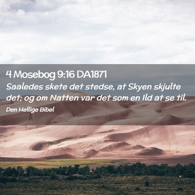 Picture 02 - 4 Mosebog 9:16 DA1871 - Saaledes skete det stedse, at Skyen skjulte det; - Bible Verse Picture