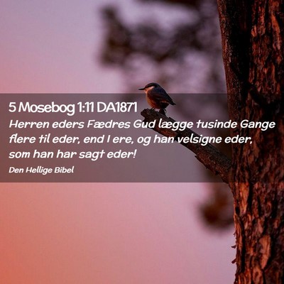 Picture 02 - 5 Mosebog 1:11 DA1871 - Herren eders Fædres Gud lægge tusinde Gange - Bible Verse Picture