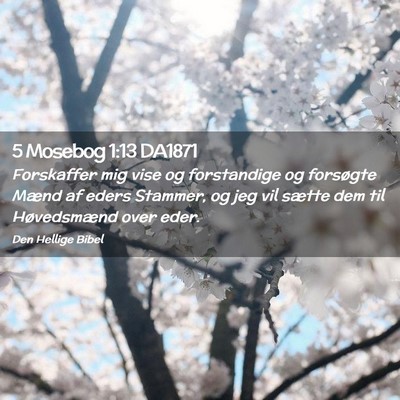 Picture 02 - 5 Mosebog 1:13 DA1871 - Forskaffer mig vise og forstandige og forsøgte - Bible Verse Picture