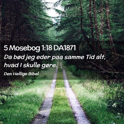Picture 02 - 5 Mosebog 1:18 DA1871 - Da bød jeg eder paa samme Tid alt, hvad I skulle - Bible Verse Picture