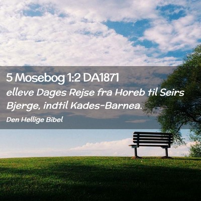 Picture 02 - 5 Mosebog 1:2 DA1871 - elleve Dages Rejse fra Horeb til Seirs Bjerge, - Bible Verse Picture