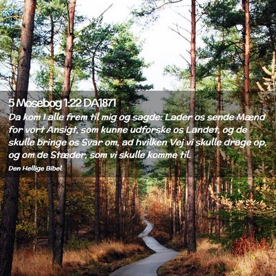 Picture 02 - 5 Mosebog 1:22 DA1871 - Da kom I alle frem til mig og sagde: Lader os - Bible Verse Picture