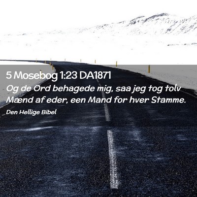 Picture 02 - 5 Mosebog 1:23 DA1871 - Og de Ord behagede mig, saa jeg tog tolv Mænd af - Bible Verse Picture