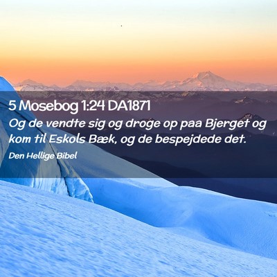 Picture 02 - 5 Mosebog 1:24 DA1871 - Og de vendte sig og droge op paa Bjerget og kom - Bible Verse Picture