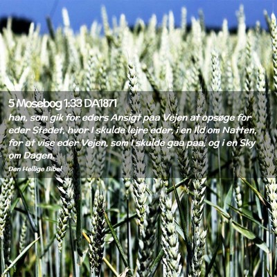 Picture 02 - 5 Mosebog 1:33 DA1871 - han, som gik for eders Ansigt paa Vejen at - Bible Verse Picture