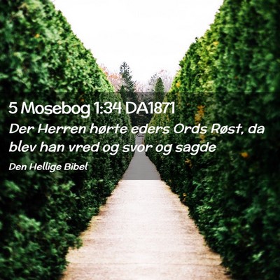 Picture 02 - 5 Mosebog 1:34 DA1871 - Der Herren hørte eders Ords Røst, da blev han - Bible Verse Picture