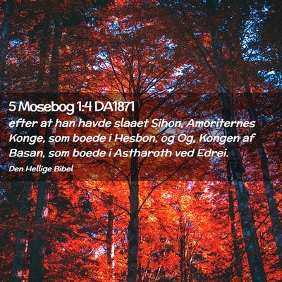 Picture 02 - 5 Mosebog 1:4 DA1871 - efter at han havde slaaet Sihon, Amoriternes - Bible Verse Picture