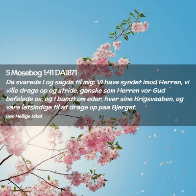 Picture 02 - 5 Mosebog 1:41 DA1871 - Da svarede I og sagde til mig: Vi have syndet - Bible Verse Picture