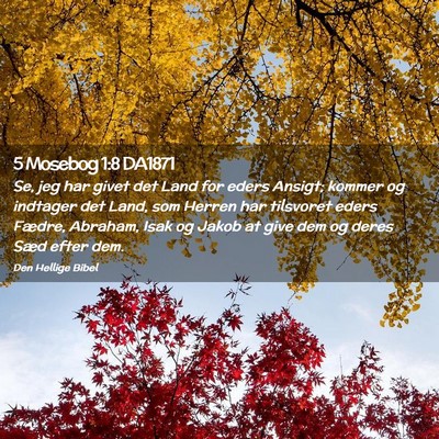 Picture 02 - 5 Mosebog 1:8 DA1871 - Se, jeg har givet det Land for eders Ansigt; - Bible Verse Picture