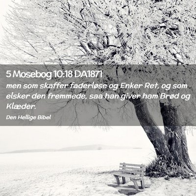 Picture 02 - 5 Mosebog 10:18 DA1871 - men som skaffer faderløse og Enker Ret, og som - Bible Verse Picture