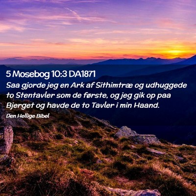 Picture 02 - 5 Mosebog 10:3 DA1871 - Saa gjorde jeg en Ark af Sithimtræ og udhuggede - Bible Verse Picture