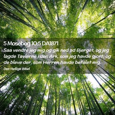 Picture 02 - 5 Mosebog 10:5 DA1871 - Saa vendte jeg mig og gik ned ad Bjerget, og jeg - Bible Verse Picture
