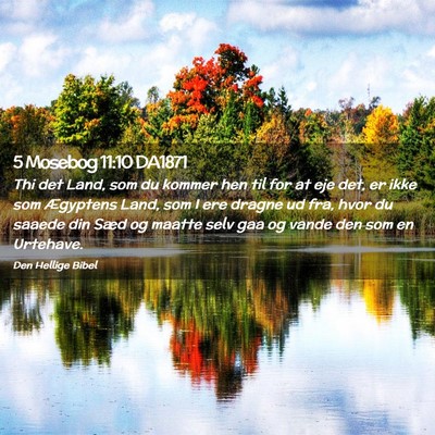 Picture 02 - 5 Mosebog 11:10 DA1871 - Thi det Land, som du kommer hen til for at eje - Bible Verse Picture