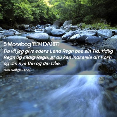 Picture 02 - 5 Mosebog 11:14 DA1871 - Da vil jeg give eders Land Regn paa sin Tid, - Bible Verse Picture