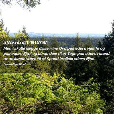 Picture 02 - 5 Mosebog 11:18 DA1871 - Men I skulle lægge disse mine Ord paa eders - Bible Verse Picture