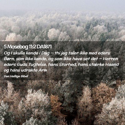 Picture 02 - 5 Mosebog 11:2 DA1871 - Og I skulle kende i Dag — thi jeg taler ikke - Bible Verse Picture