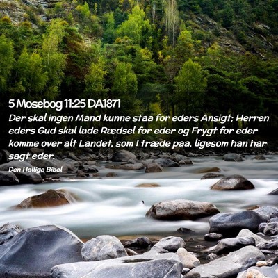 Picture 02 - 5 Mosebog 11:25 DA1871 - Der skal ingen Mand kunne staa for eders Ansigt; - Bible Verse Picture